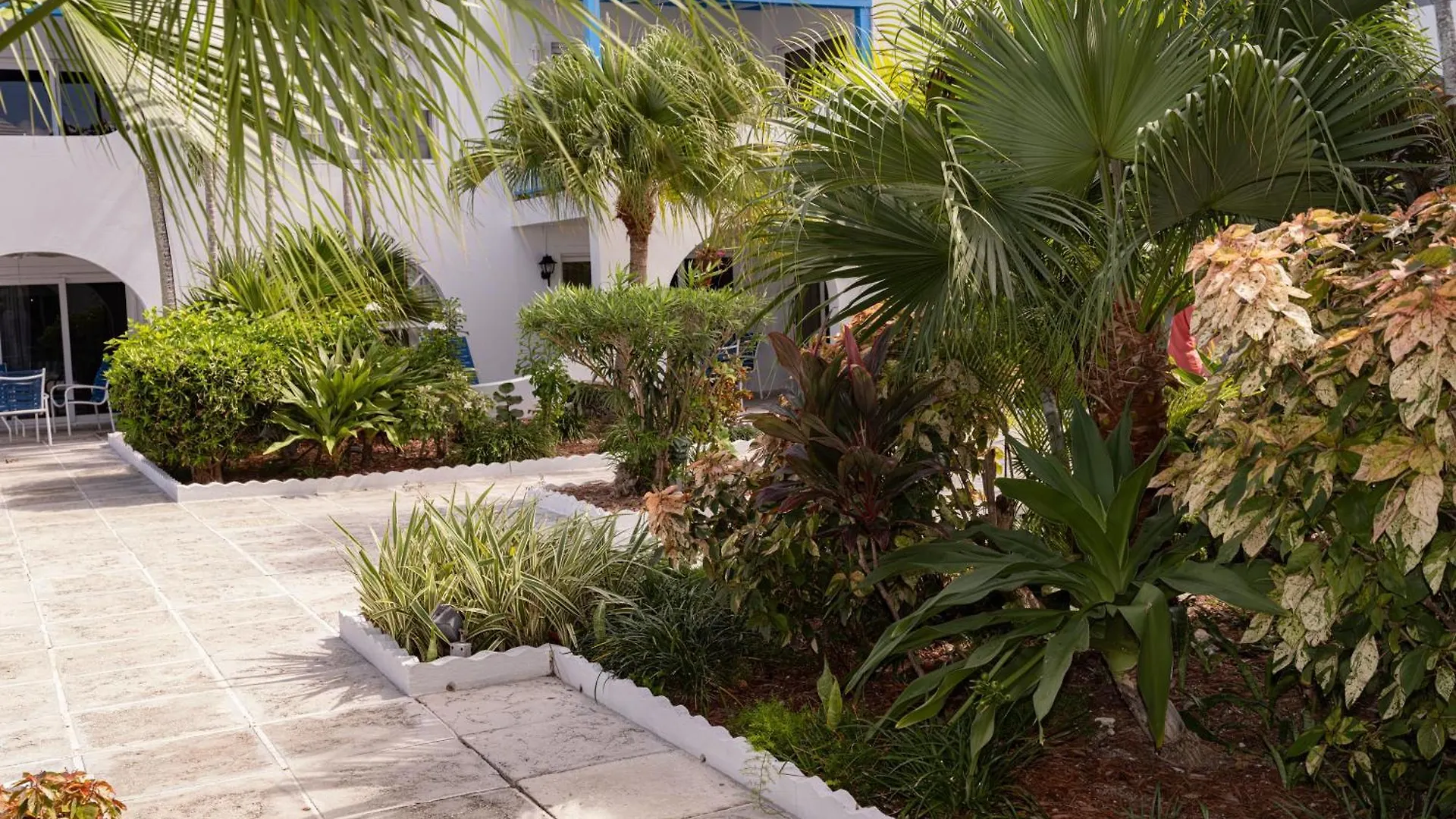 Deluxe Ocean View Villas - Just Steps From White Sand Beaches Creek Village Bahamas