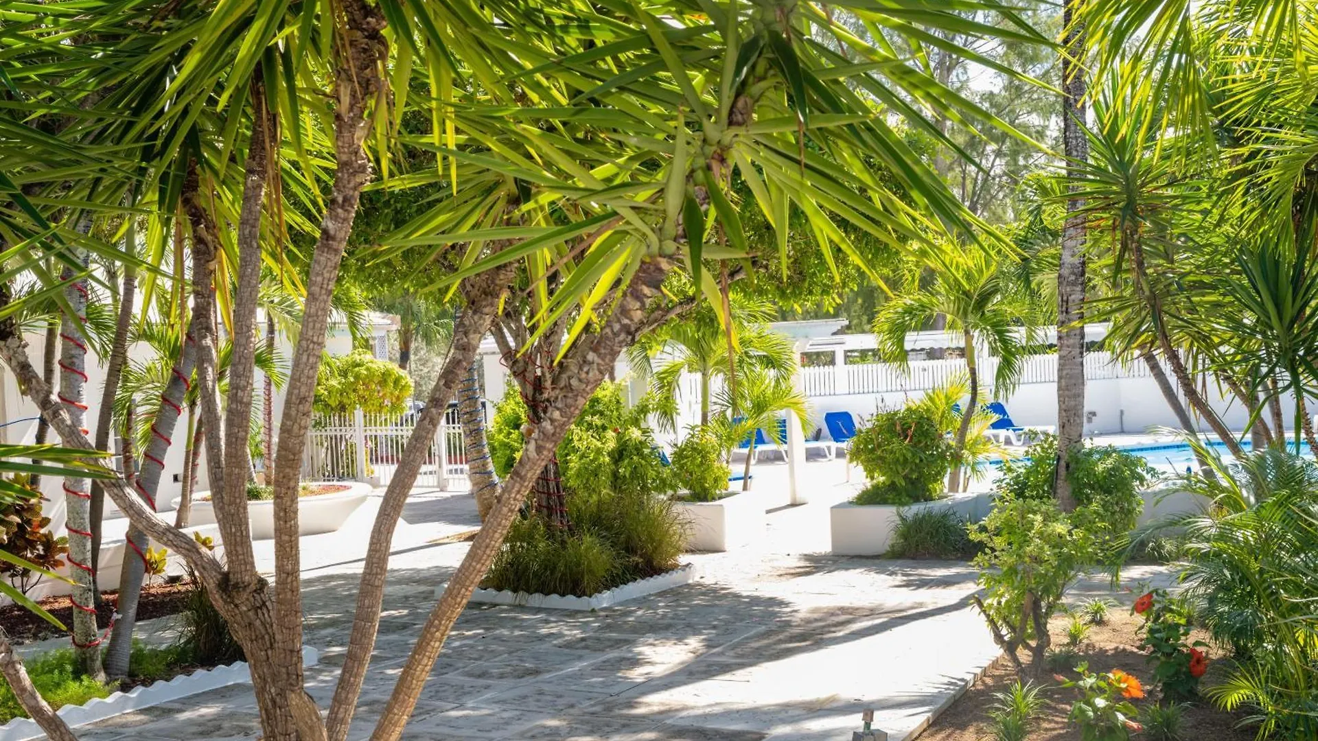 Deluxe Ocean View Villas - Just Steps From White Sand Beaches Creek Village