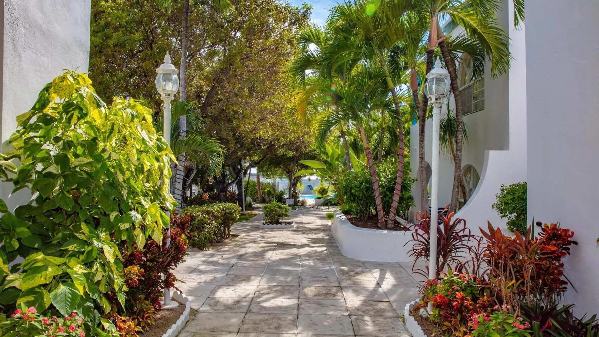 Deluxe Ocean View Villas - Just Steps From White Sand Beaches Creek Village